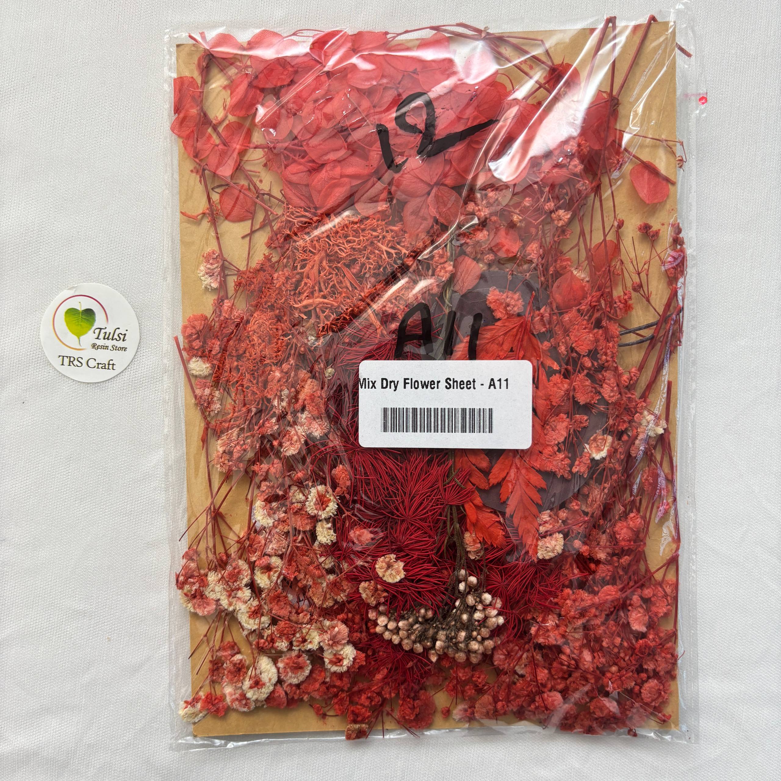 Mix Dry Flower Sheet - A11