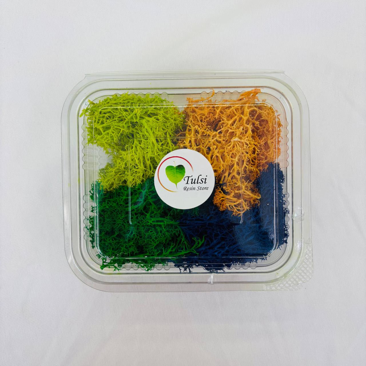 Random Sea Grass Box