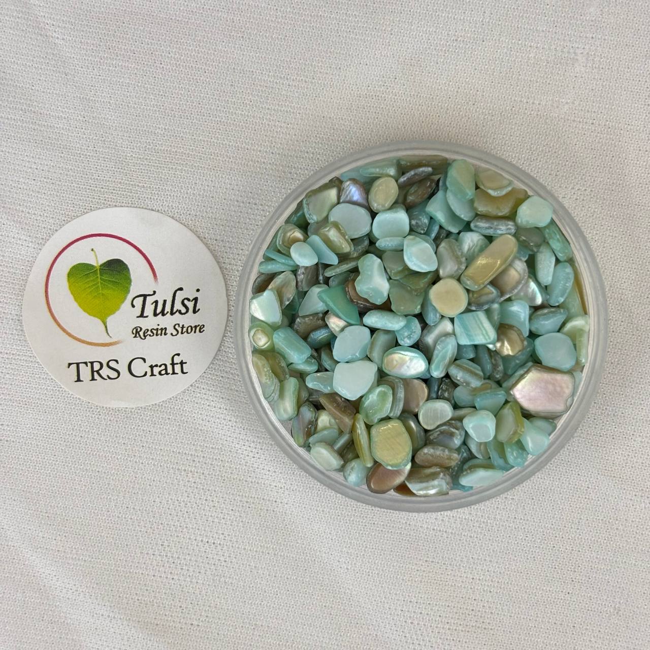 Teal Blue Shell Chips