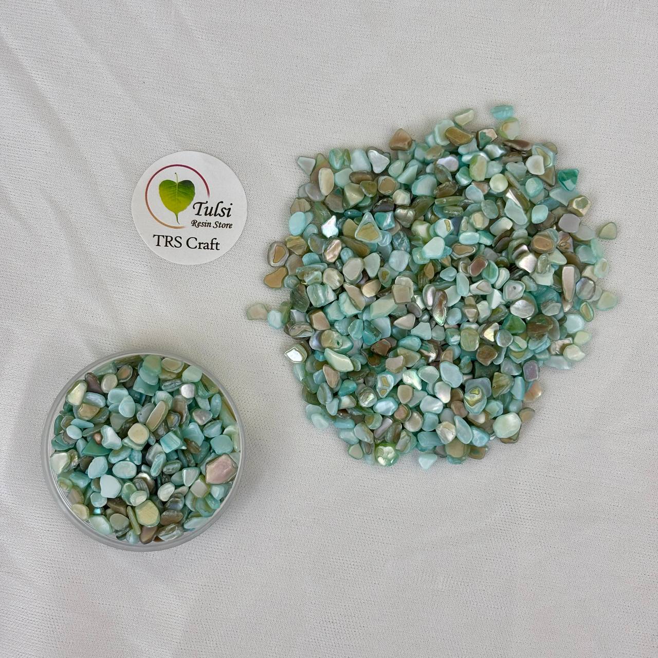 Teal Blue Shell Chips