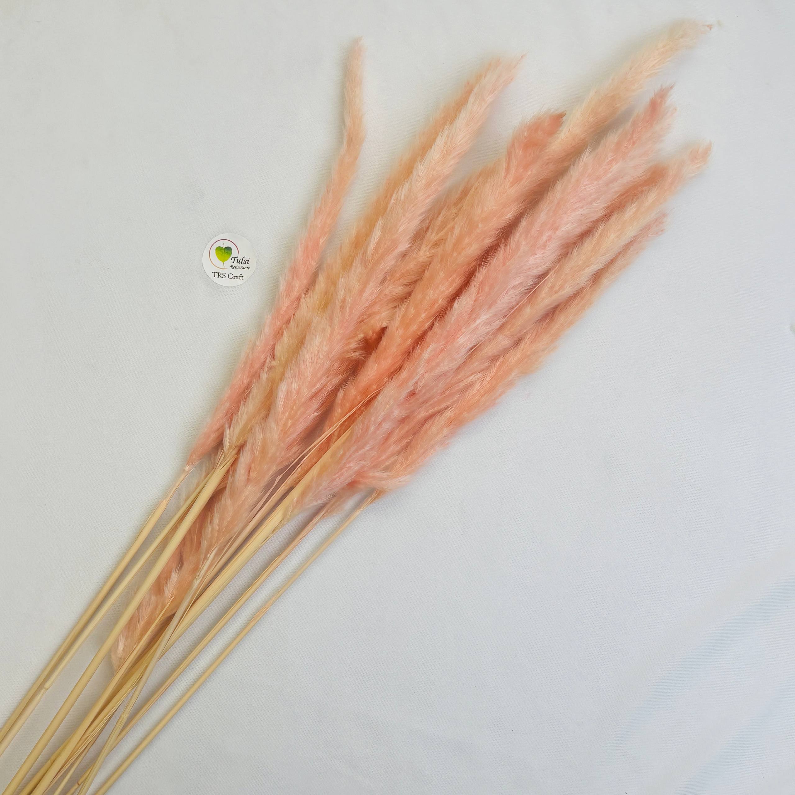 Colourful Pampas Feather Stick (2 pcs) Tulsi Resin Store