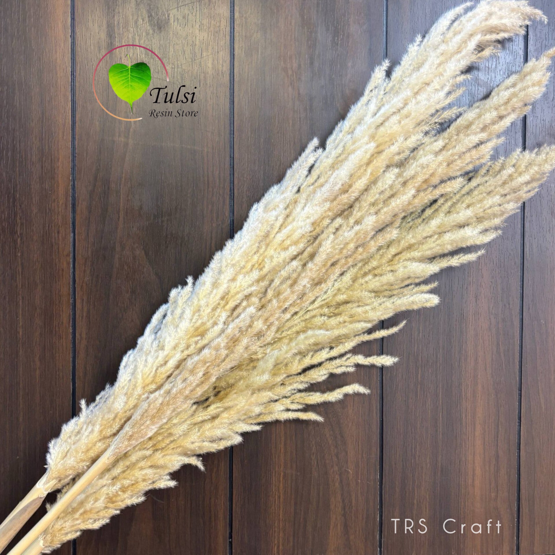 White Pampas Feather Stick (2 Pcs) Tulsi Resin Store
