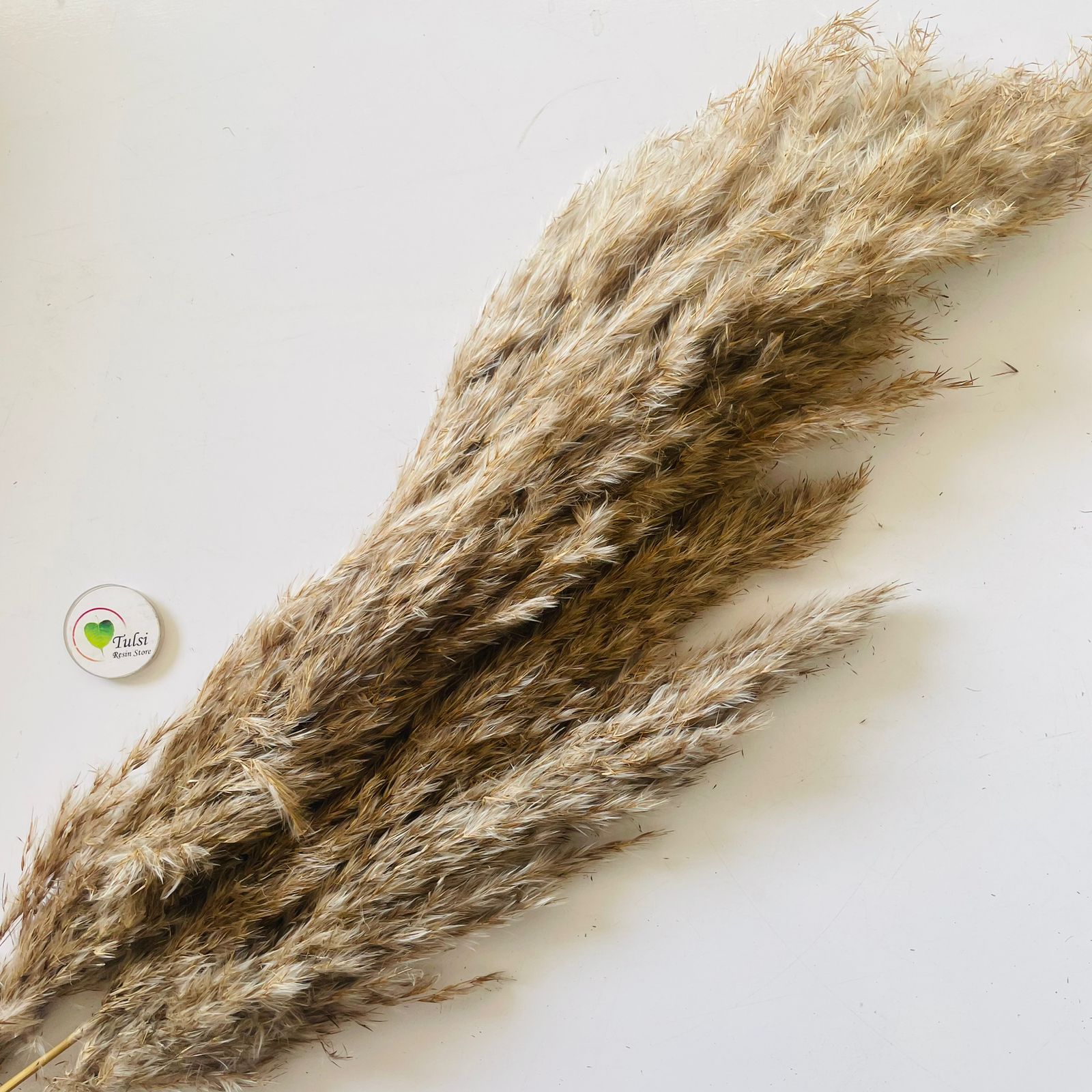 Brown Pampas Feather Stick Tulsi Resin Store