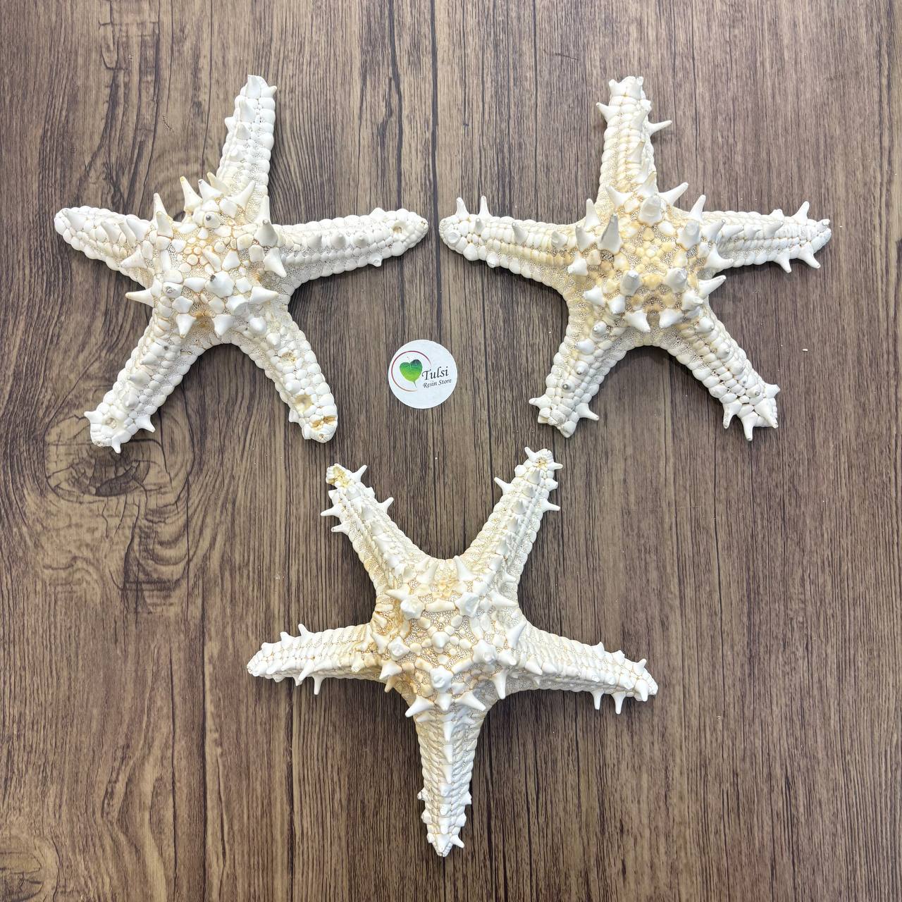 Natural Star Fish - Extra Big