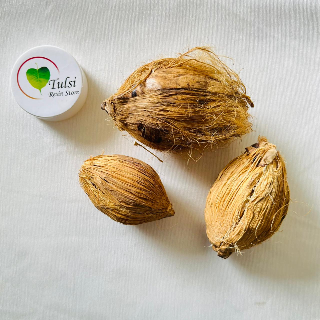 Artificial Mini Nariyal