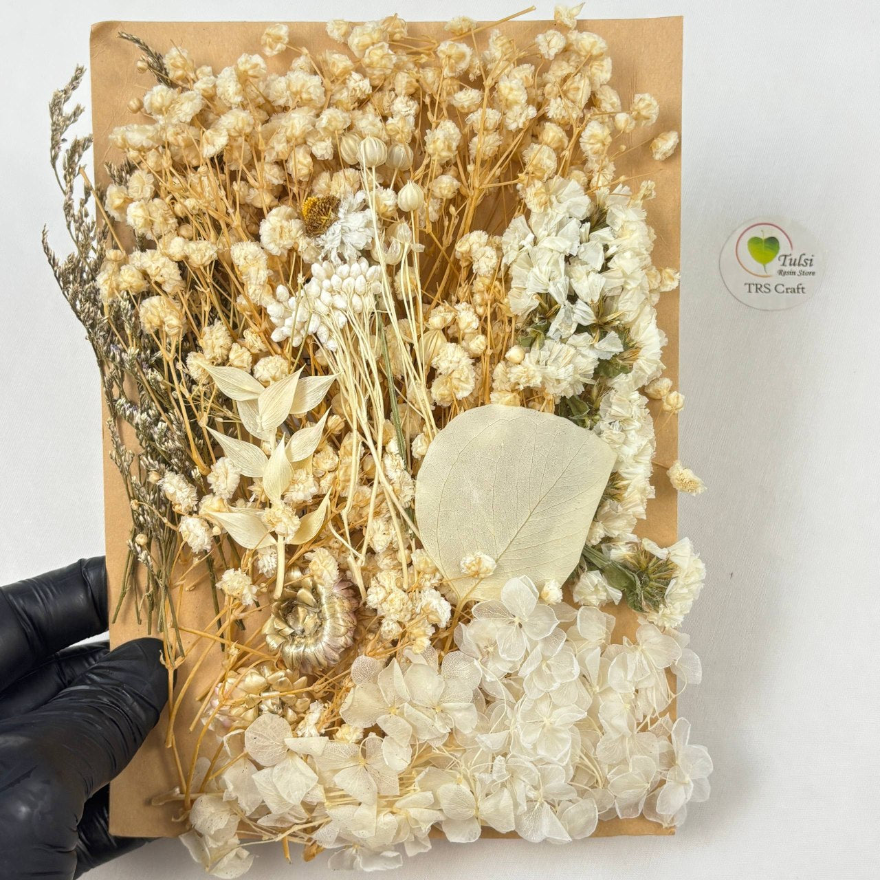 Mix Dry Flower Sheet - A1