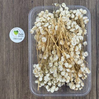 Gypsy Flower Box - (J) Tulsi Resin Store