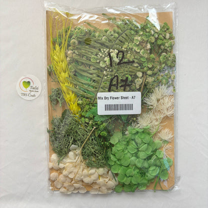 Mix Dry Flower Sheet - A7 Tulsi Resin Store