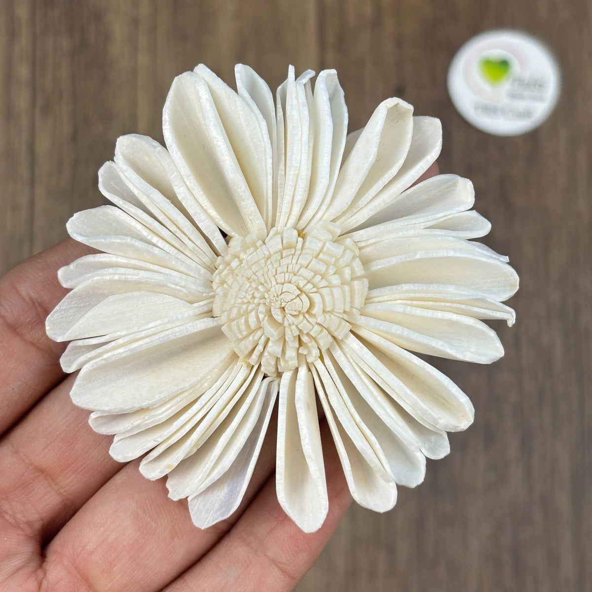Solawood Flowers - Sunflower