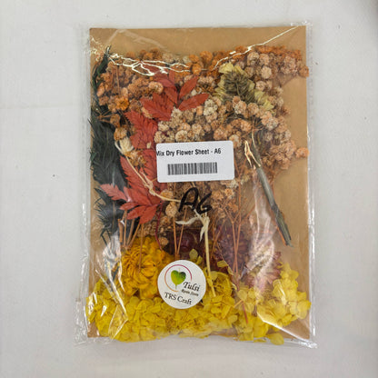 Mix Dry Flower Sheet - A6