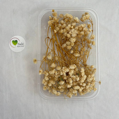 Gypsy Flower Box - (J) Tulsi Resin Store