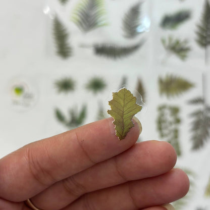 Transparent Sticker Sheet - Leaf (A3) Tulsi Resin Store
