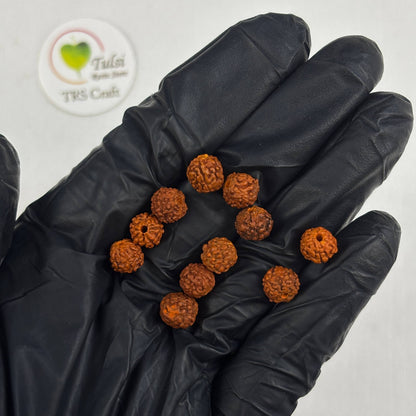 Rudraksh Rakhi Beads Tulsi Resin Store