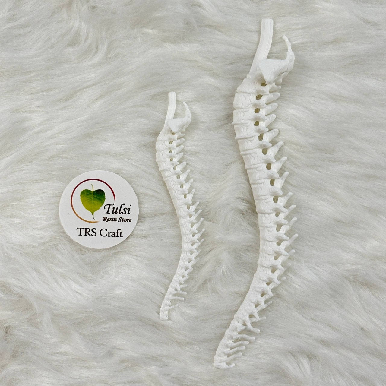 3D Miniature (A28) - Spinal Cord