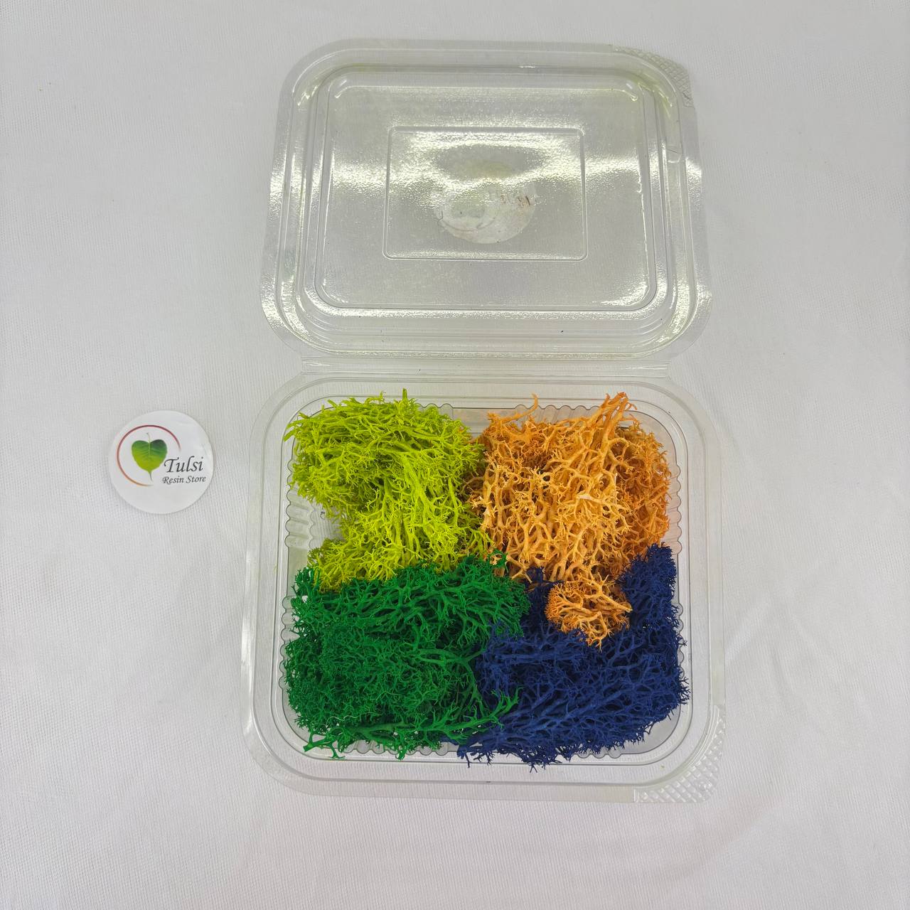 Random Sea Grass Box