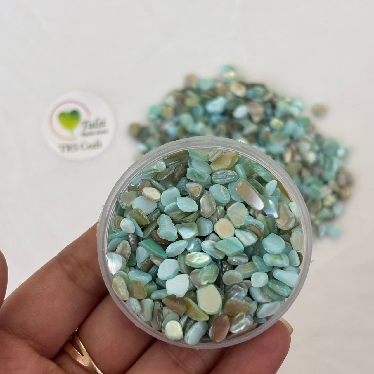 Teal Blue Shell Chips