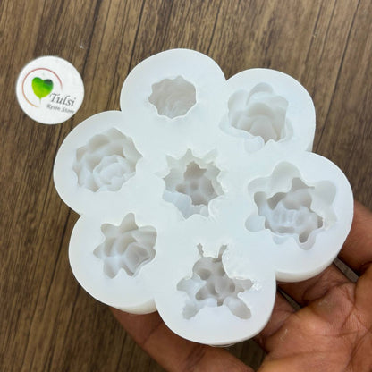 Mini Succulent Plant Mould Tulsi Resin Store