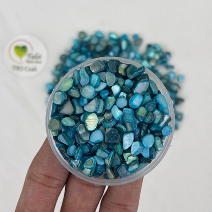 Dark Blue Shell Chips