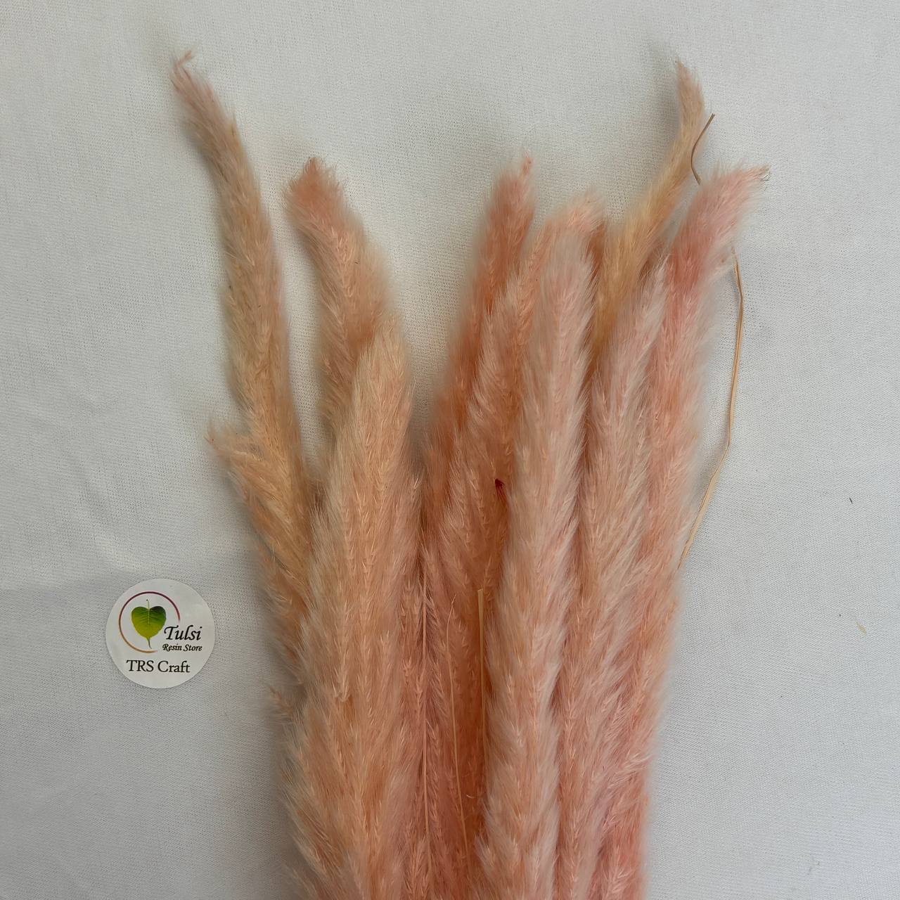 Colourful Pampas Feather Stick  (2 pcs)