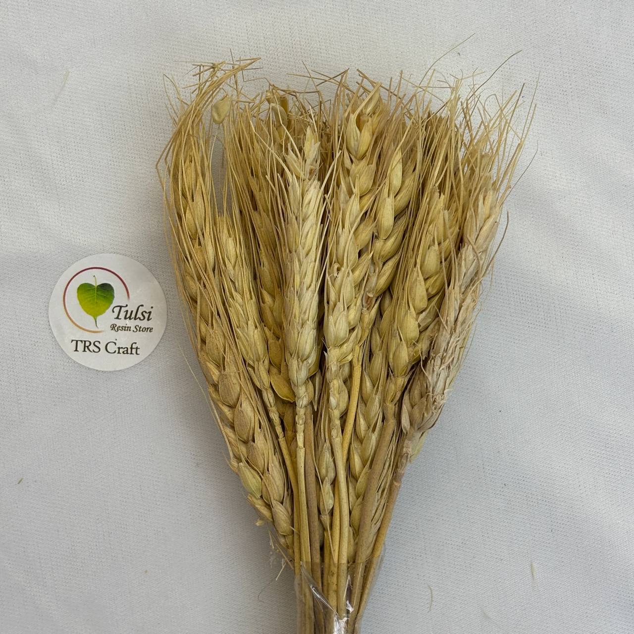 Dried Wheat Grass
