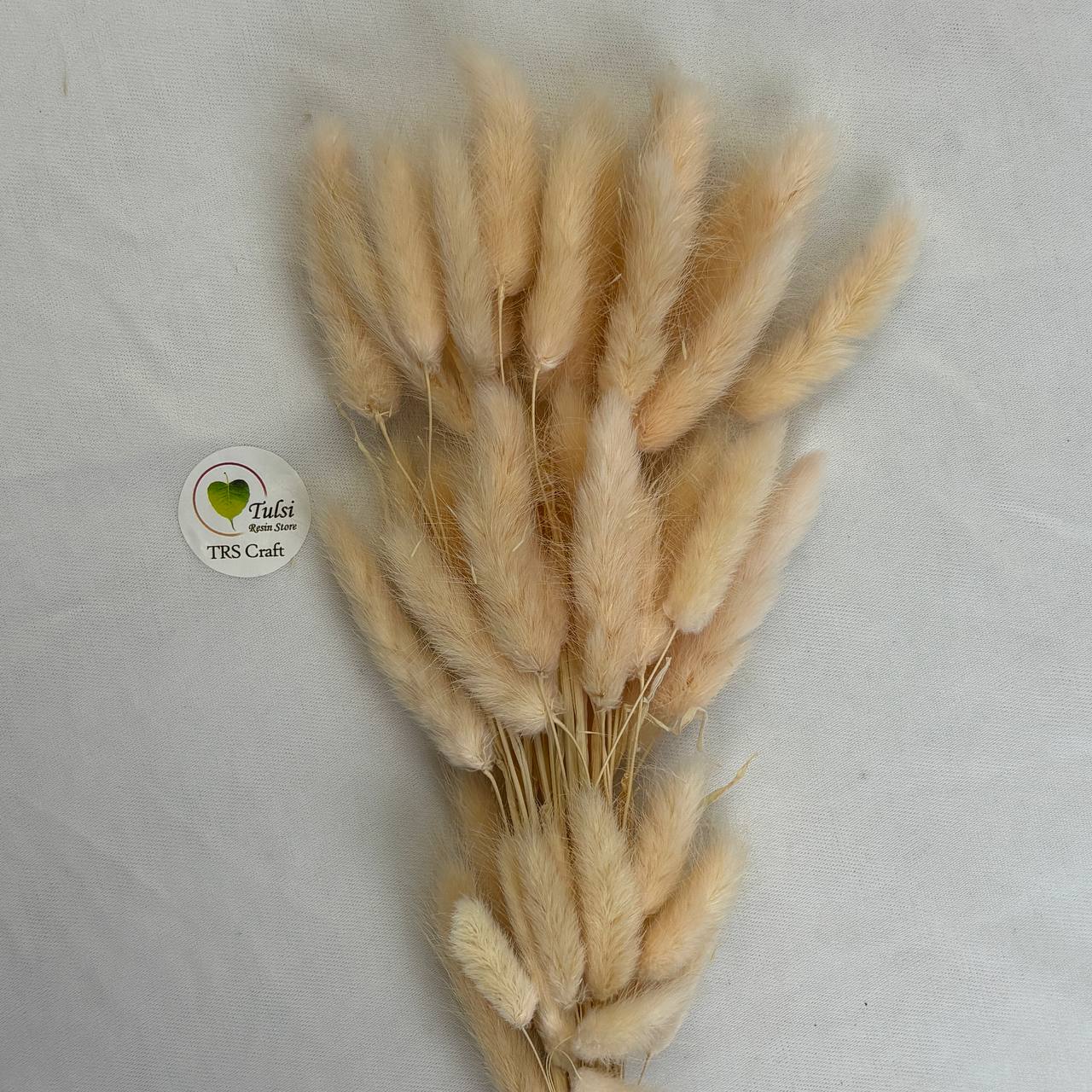 Bunny Tail (5 Pcs) Tulsi Resin Store