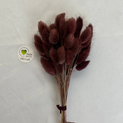 Bunny Tail (5 Pcs) Wine Tulsi Resin Store