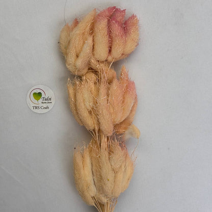 Bunny Tail (5 Pcs) Shaded Pink Tulsi Resin Store