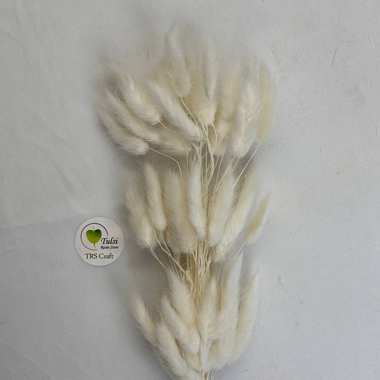 Bunny Tail (5 Pcs) White Tulsi Resin Store