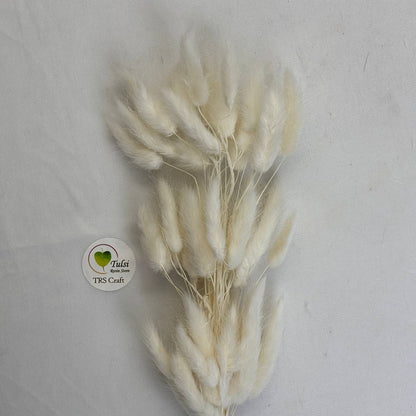 Bunny Tail (5 Pcs) White Tulsi Resin Store