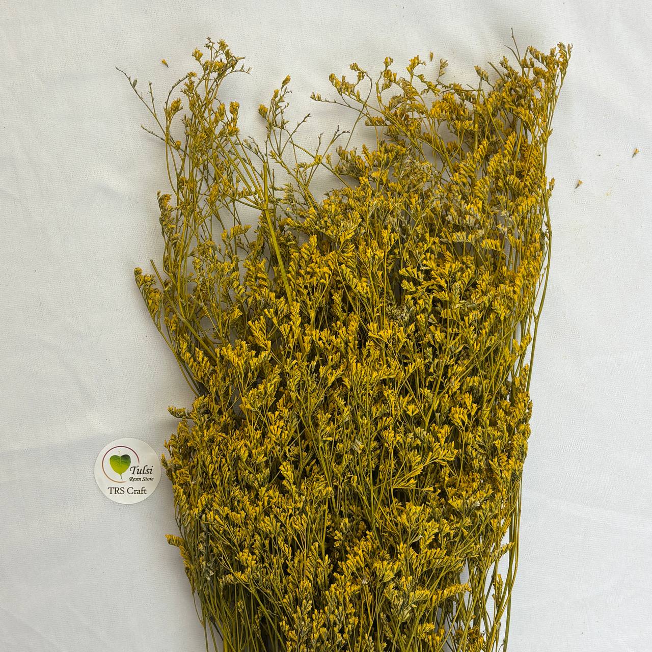 Lover Grass Box - D