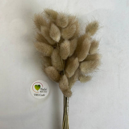 Bunny Tail (5 Pcs) Natural Brown Tulsi Resin Store