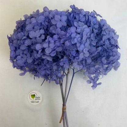 Hydrangea Dry Flower Box - (D) Tulsi Resin Store