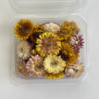 3D Dry Straw Flower Box (A) Tulsi Resin Store
