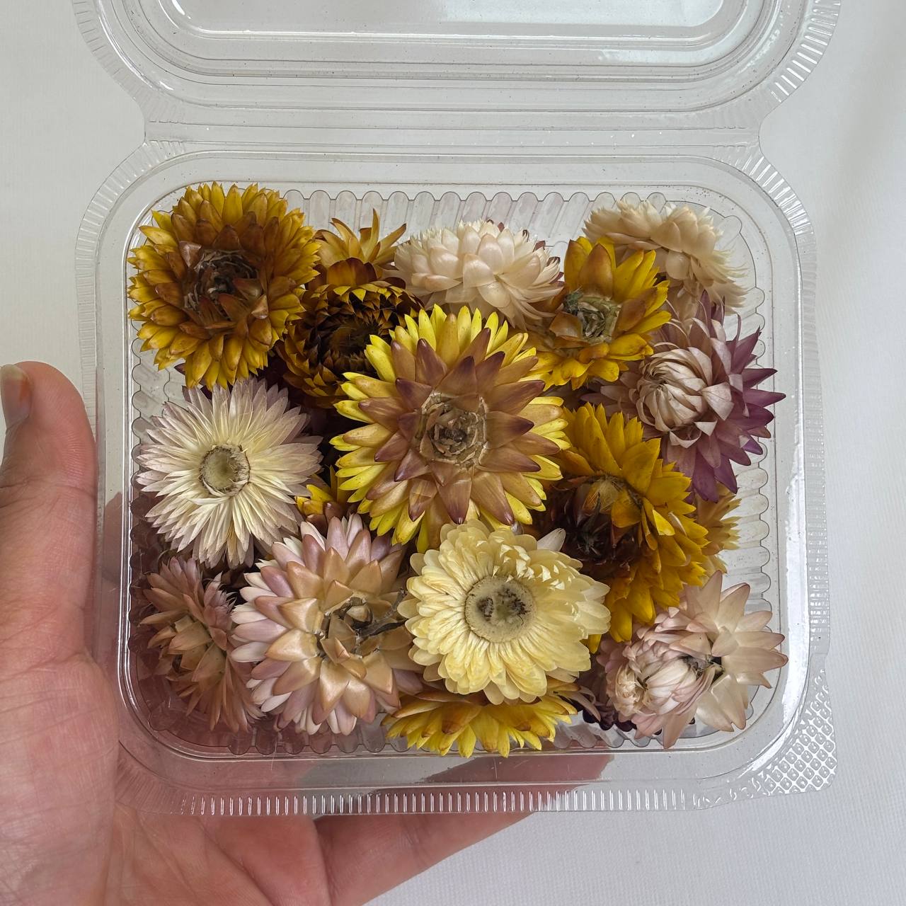 3D Dry Straw Flower Box (A) Tulsi Resin Store