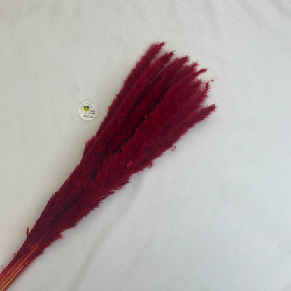 Colourful Pampas Feather Stick  (2 pcs)