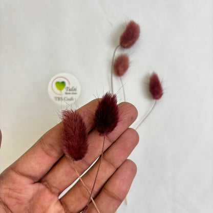 Bunny Tail (5 Pcs) Tulsi Resin Store