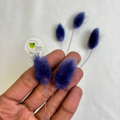 Bunny Tail (5 Pcs) Tulsi Resin Store