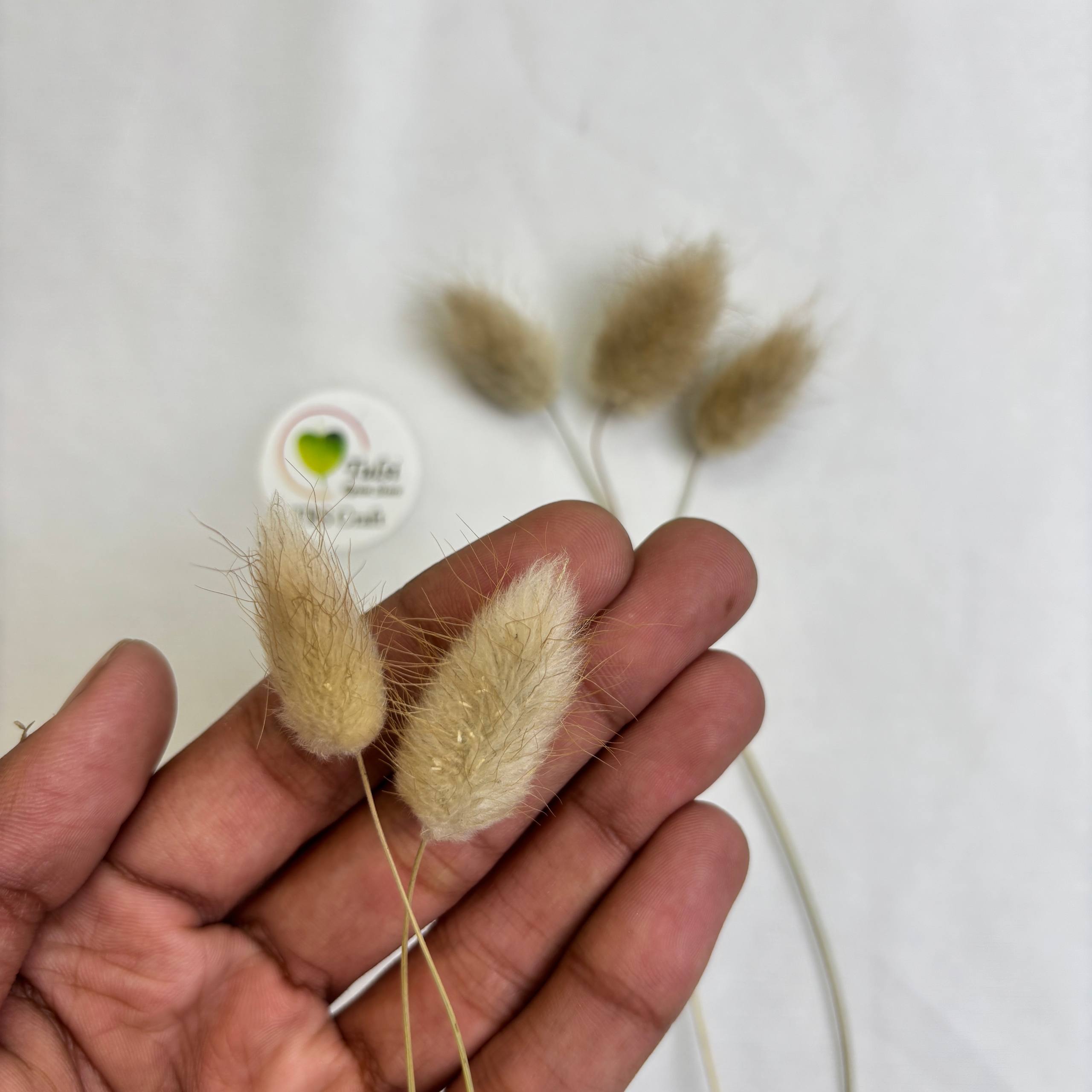 Bunny Tail (5 Pcs) Tulsi Resin Store