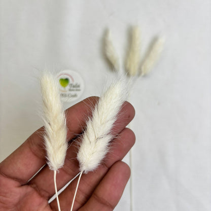 Bunny Tail (5 Pcs) Tulsi Resin Store