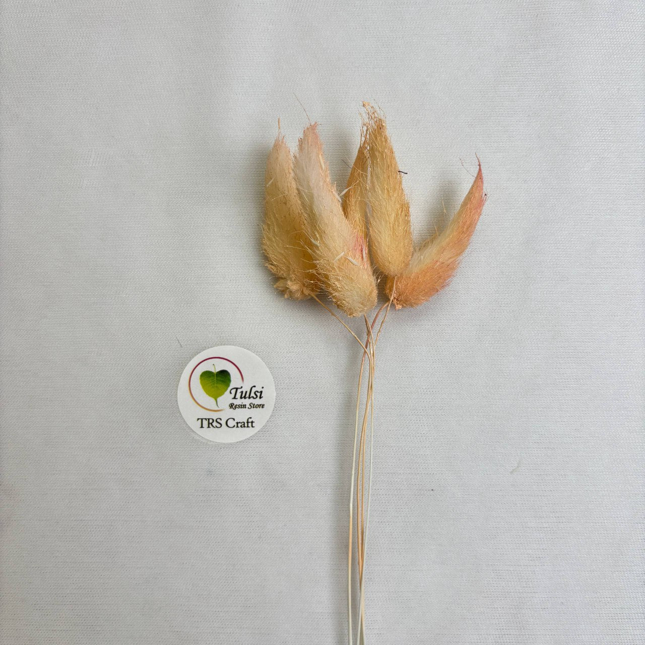 Bunny Tail (5 Pcs) Tulsi Resin Store