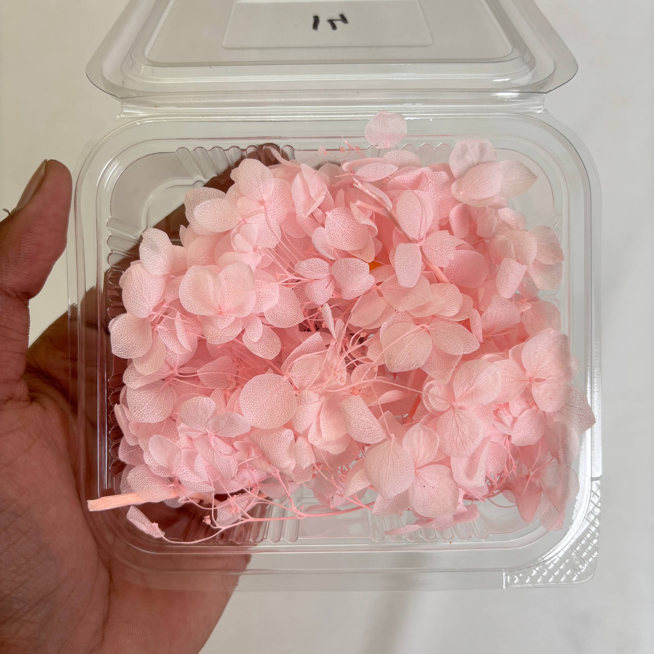 Hydrangea Dry Flower Box - (K) Tulsi Resin Store