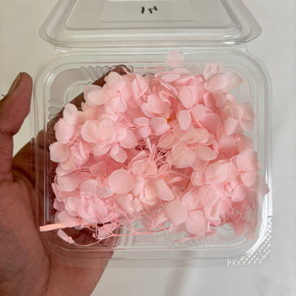 Hydrangea Dry Flower Box - (K) Tulsi Resin Store