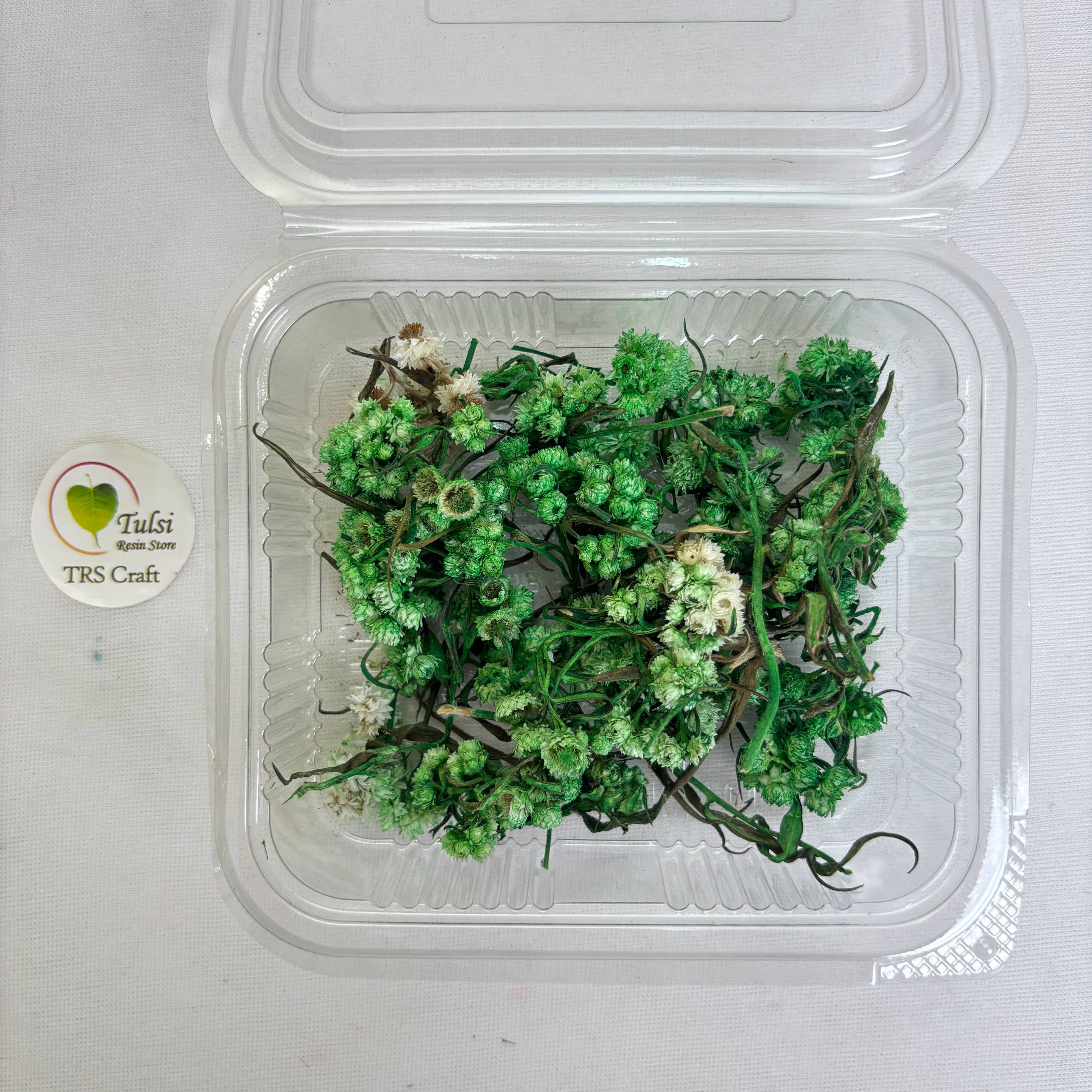 Wild Daisy Dry Flower Box - (H) Tulsi Resin Store