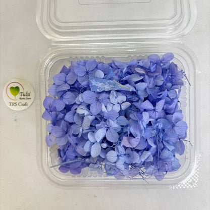 Hydrangea Dry Flower Box - (D) Tulsi Resin Store