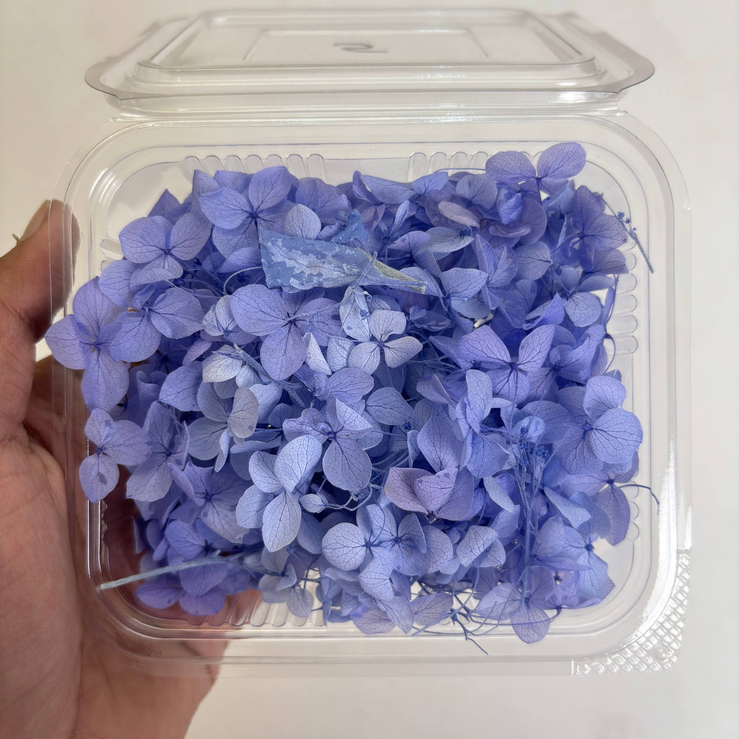 Hydrangea Dry Flower Box - (D) Tulsi Resin Store
