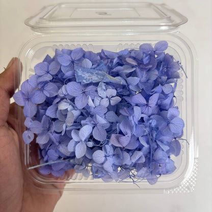Hydrangea Dry Flower Box - (D) Tulsi Resin Store