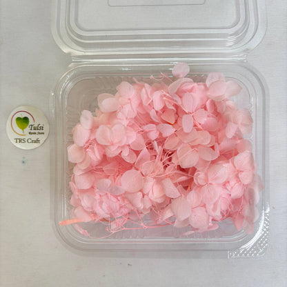 Hydrangea Dry Flower Box - (K) Tulsi Resin Store