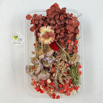 Dry Flower For Resin Art Code - J Tulsi Resin Store