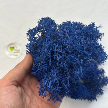 Random Sea Grass Box