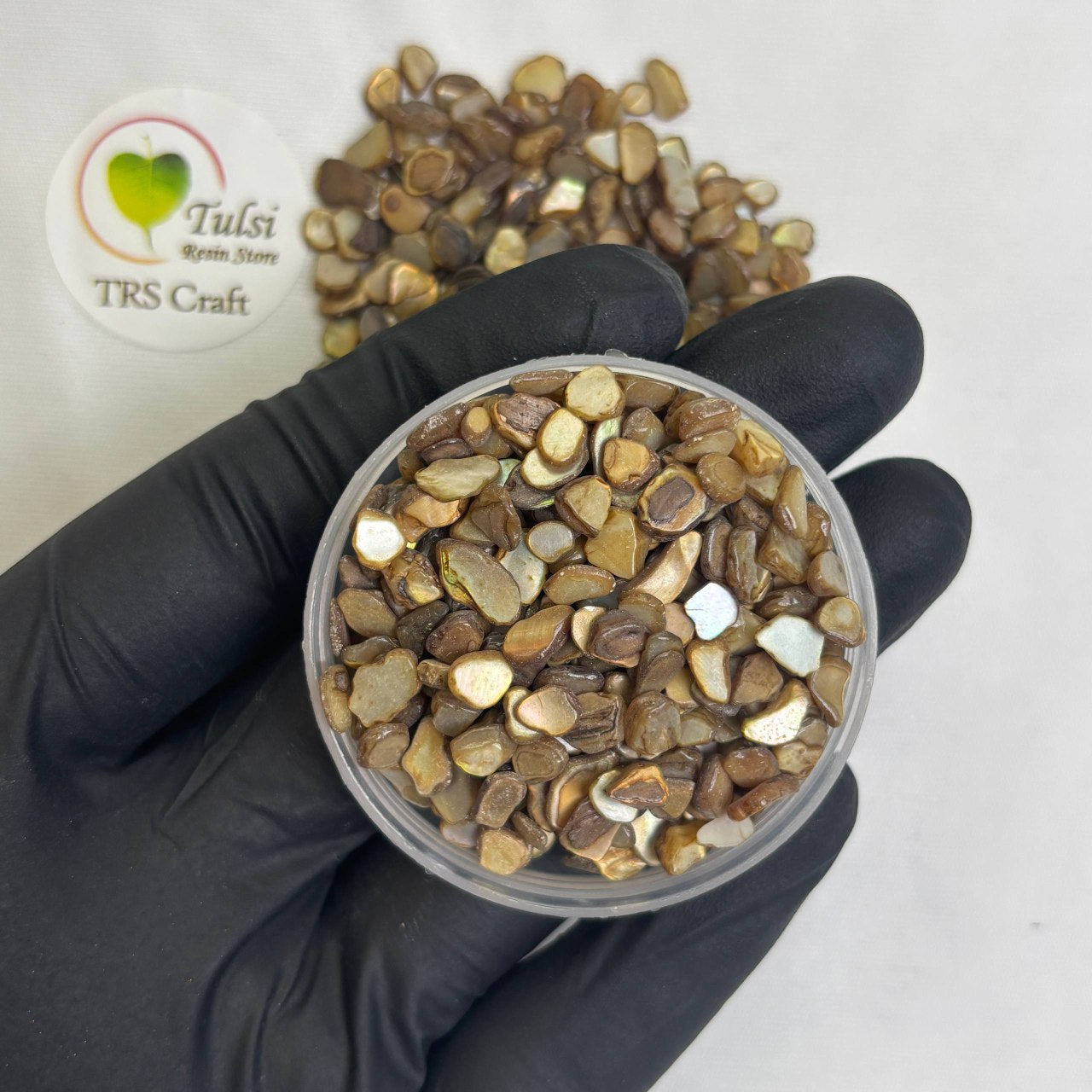 Brown Shell Chips
